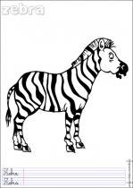 coloriage-zebre-2